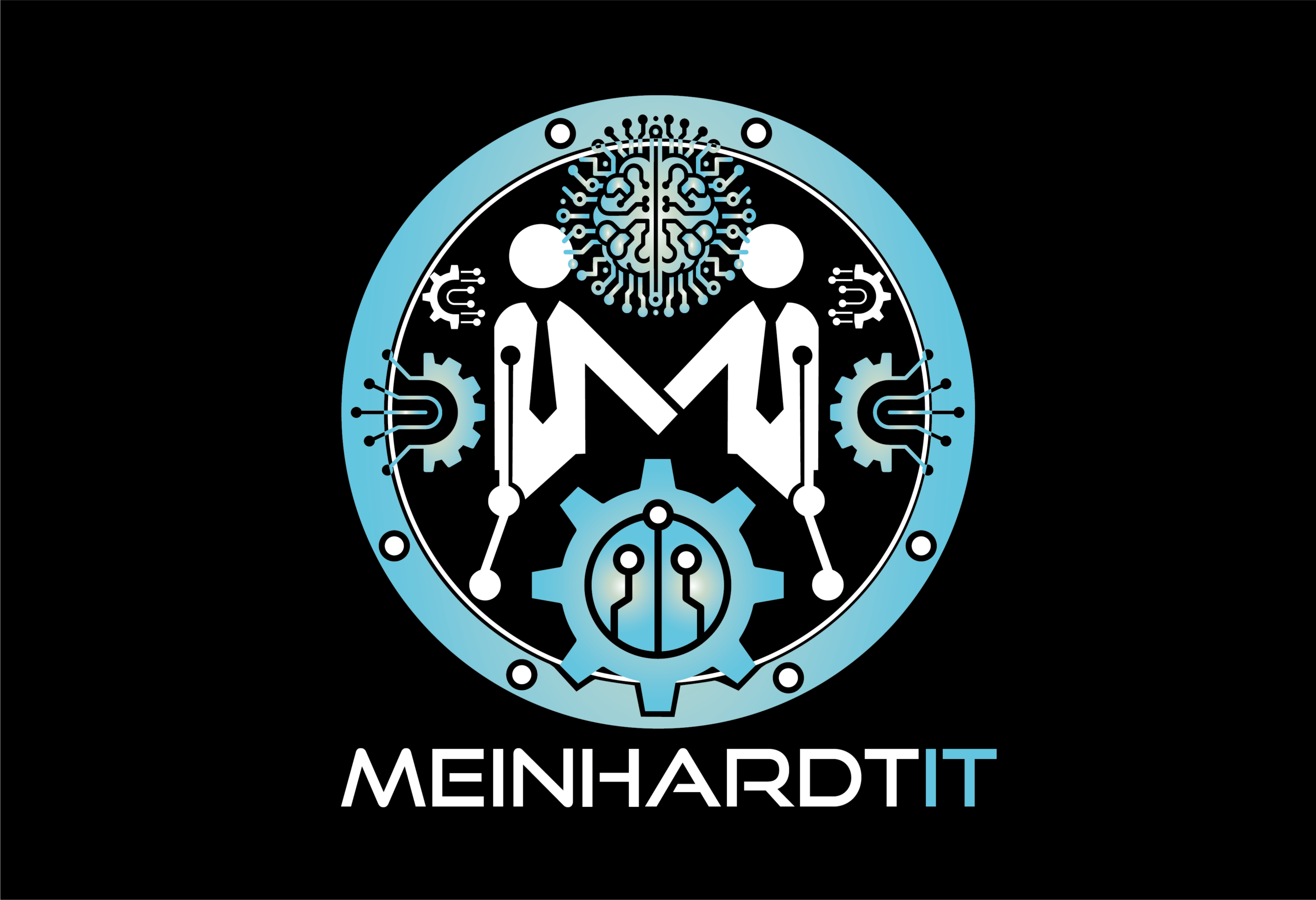 Meinhardt IT
